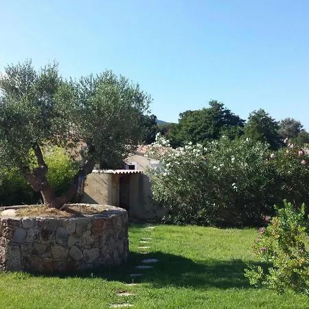 Corse